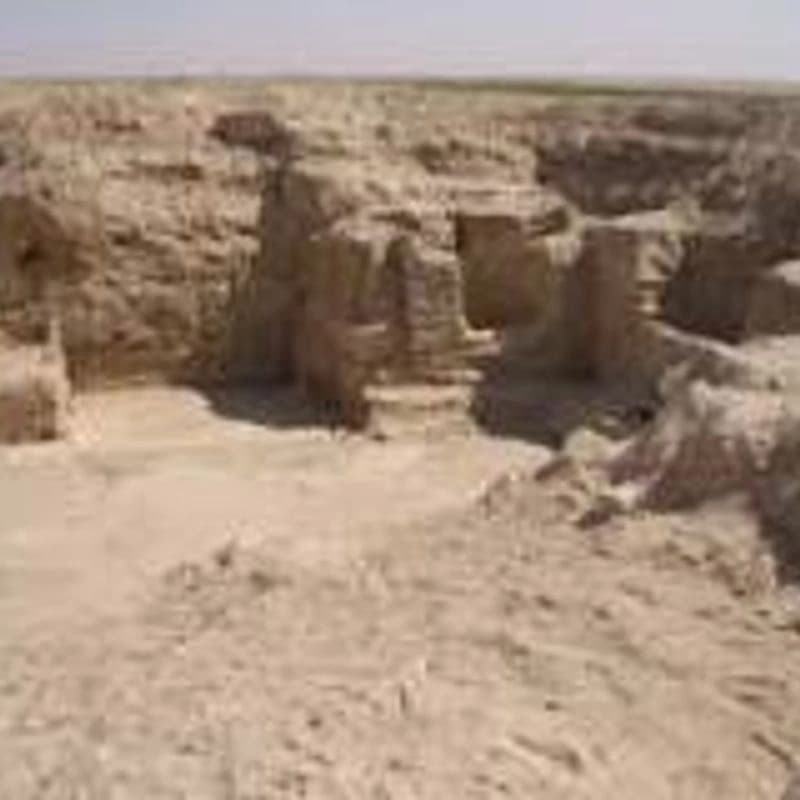 تل أسود