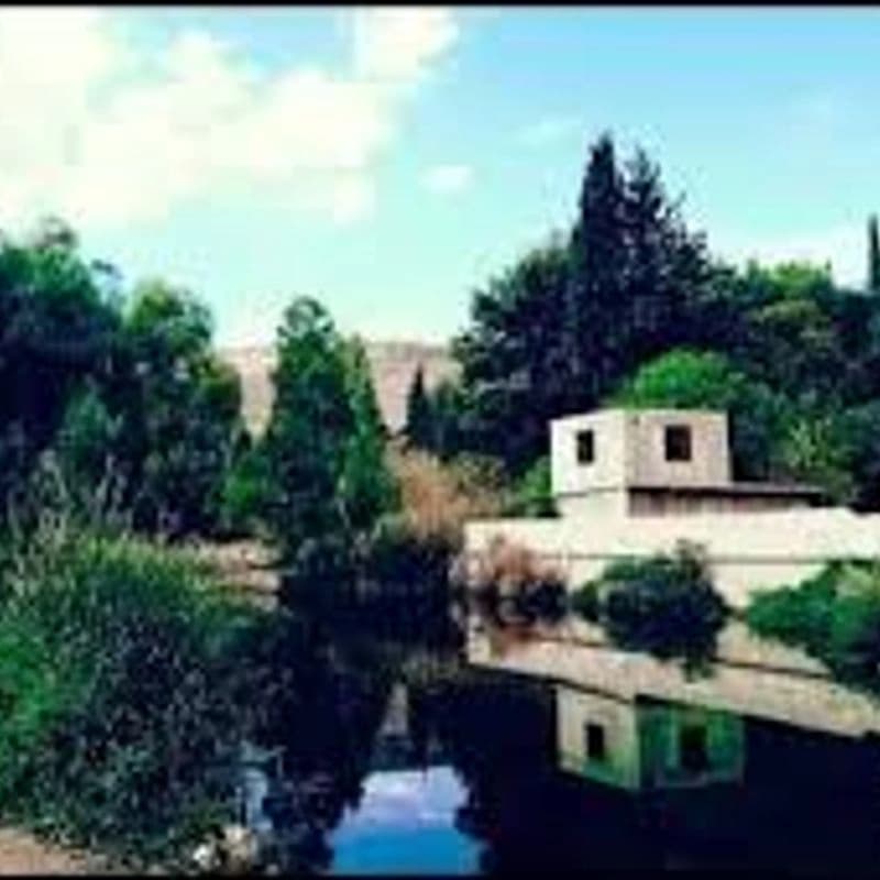 رأس العين