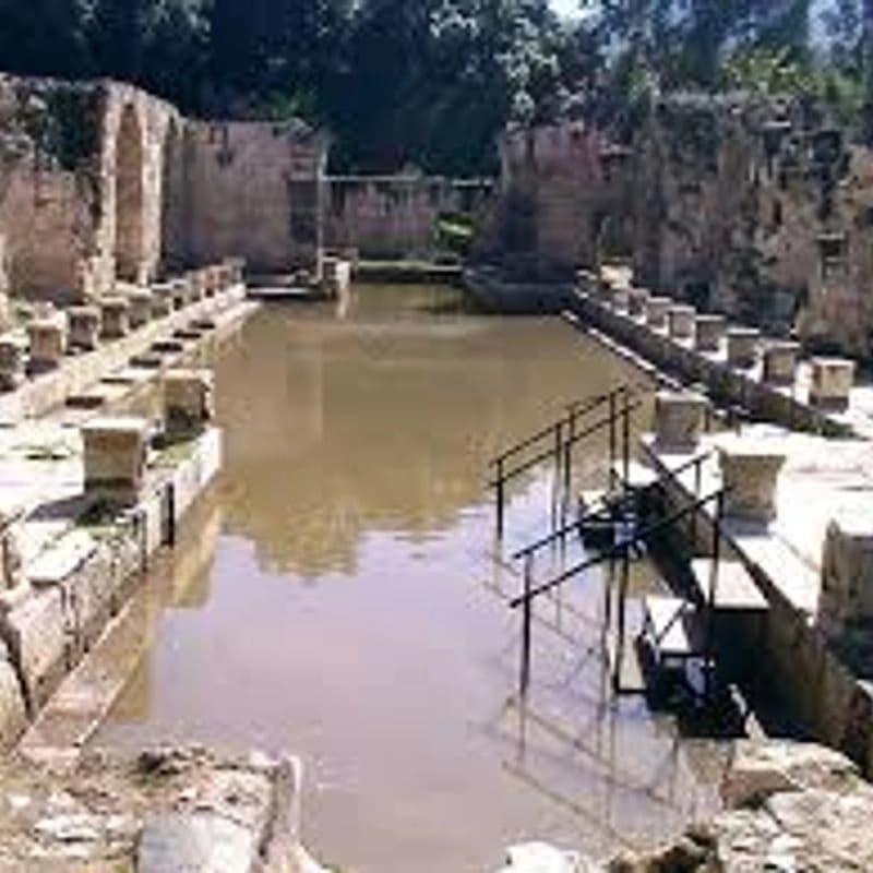الحمة