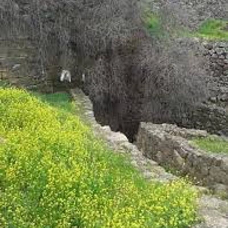 بئر النبي يونان