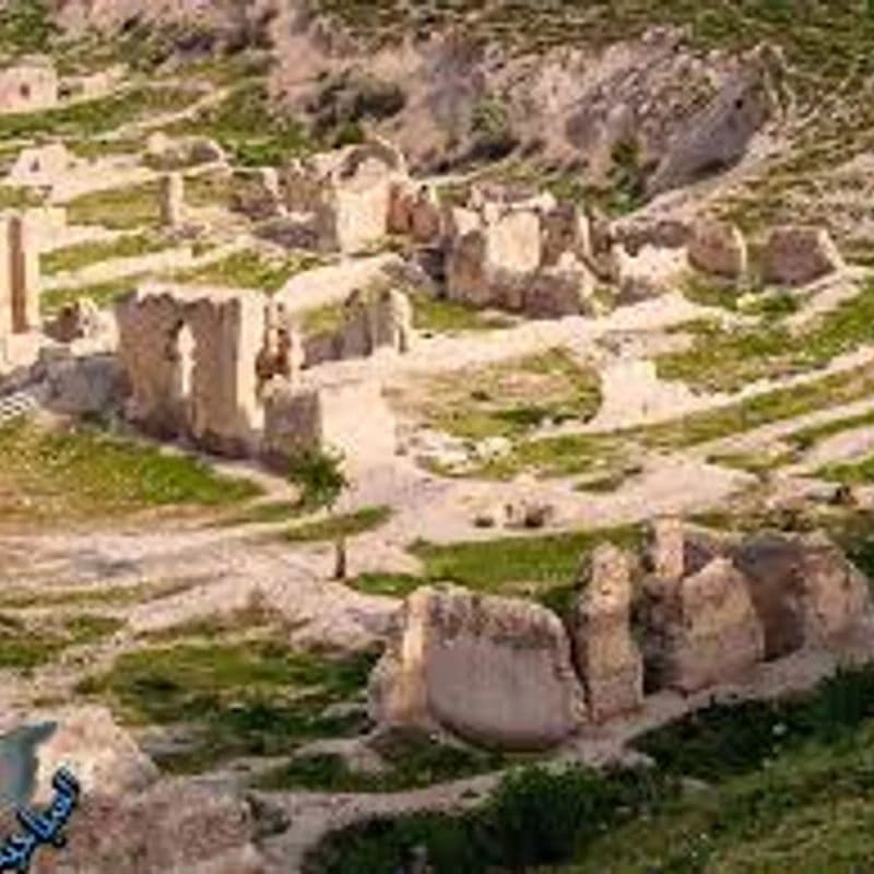 مدينة قطنا الأثرية