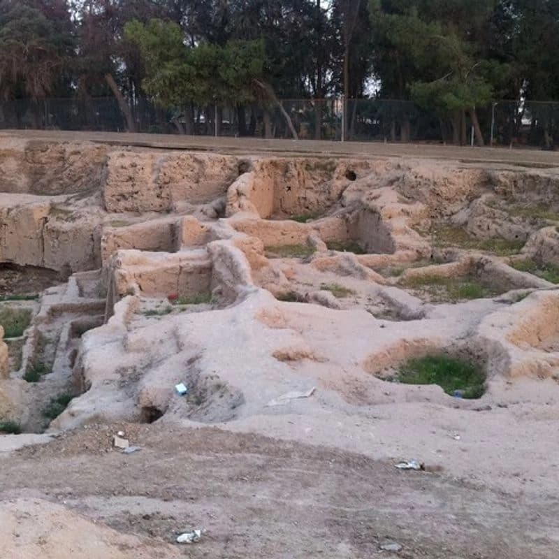 العشارة
