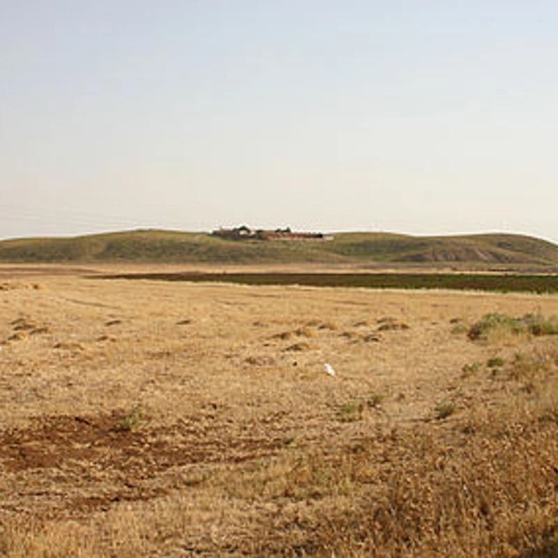 تل موزان