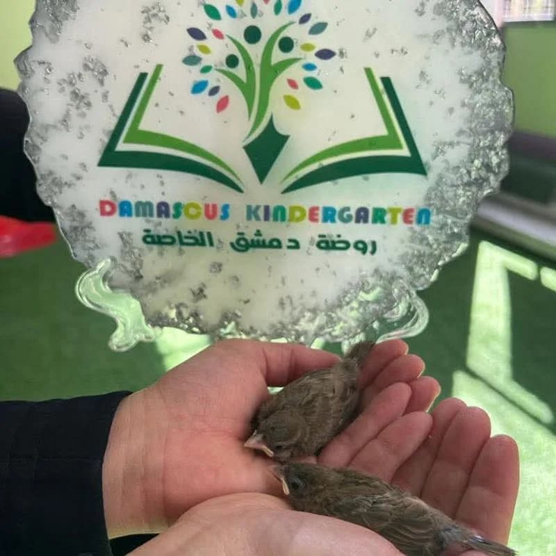 روضة دمشق
