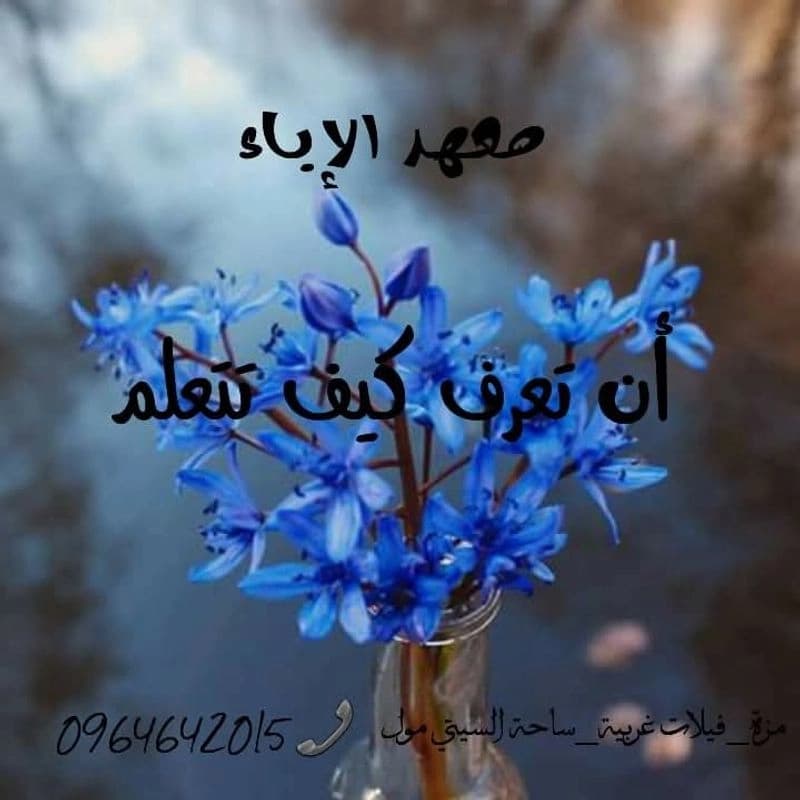 معهد الإباء التعليمي