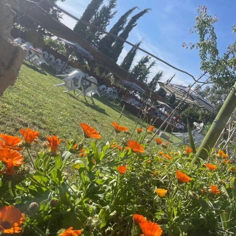 Al-Noor Park
