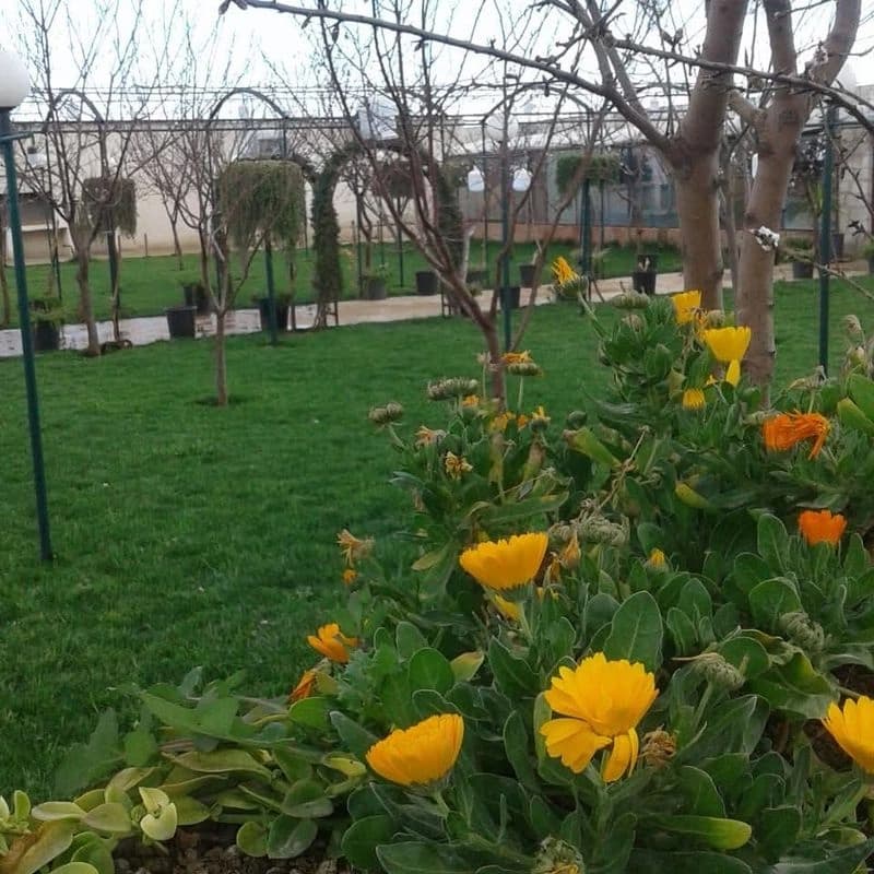 Jannat Alaa Park