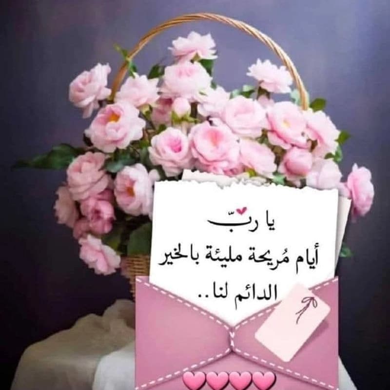 مكتبة إيسال