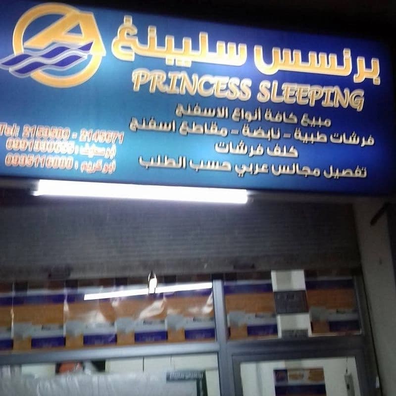 شركة برنسيس سلبينغ