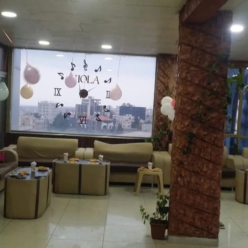 فيولا