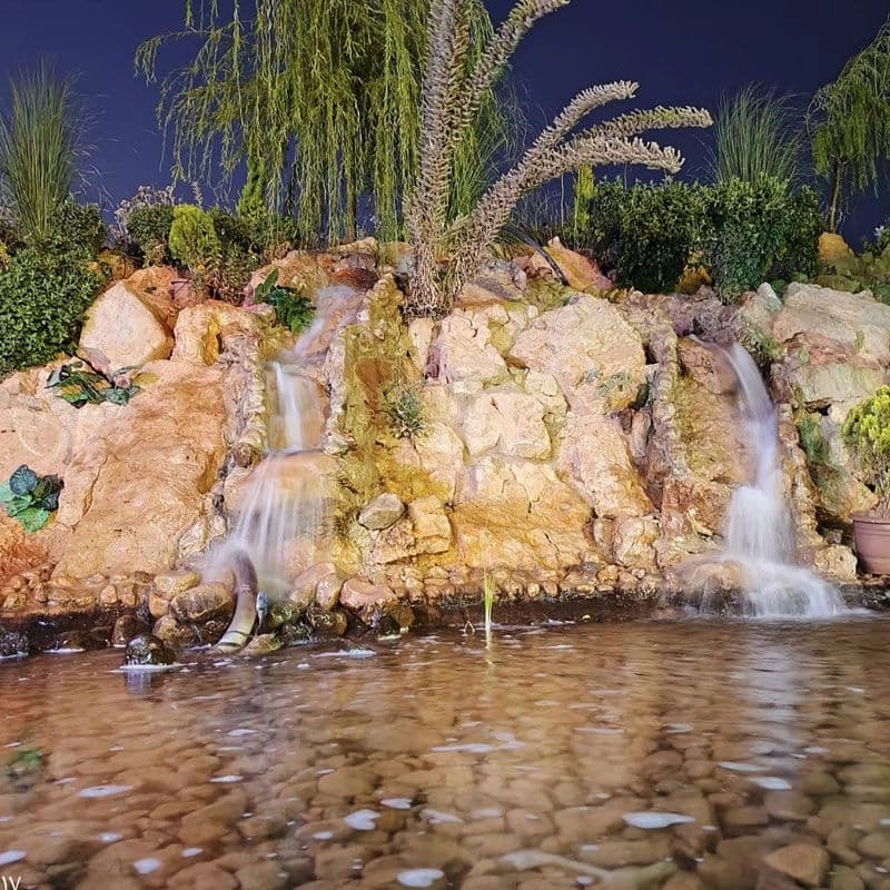 مطعم كرم التين