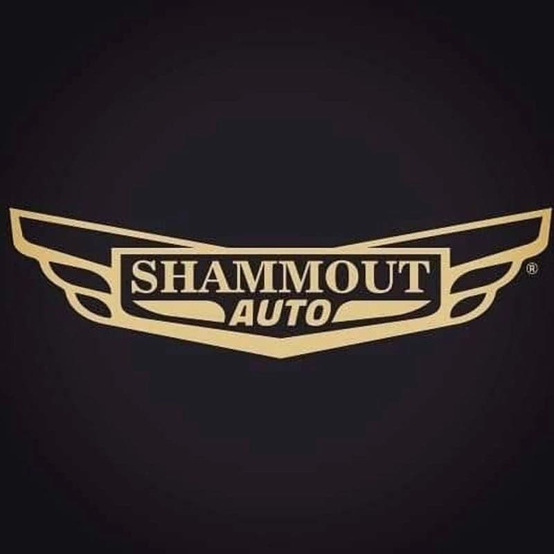 Shamout Group