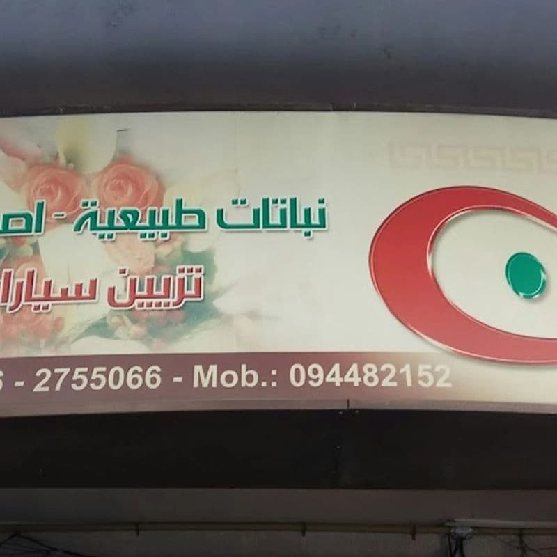 أزهار هيفين