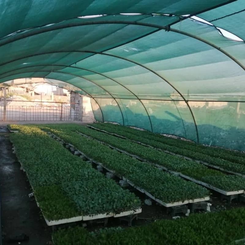 Al-Adnan Nursery