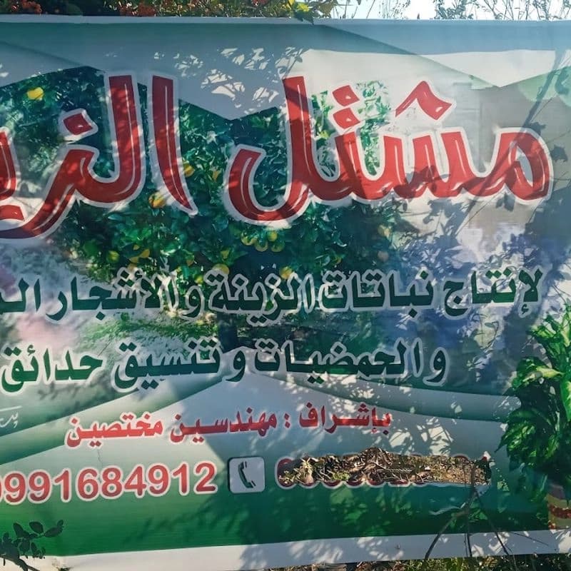 مشتل الزين