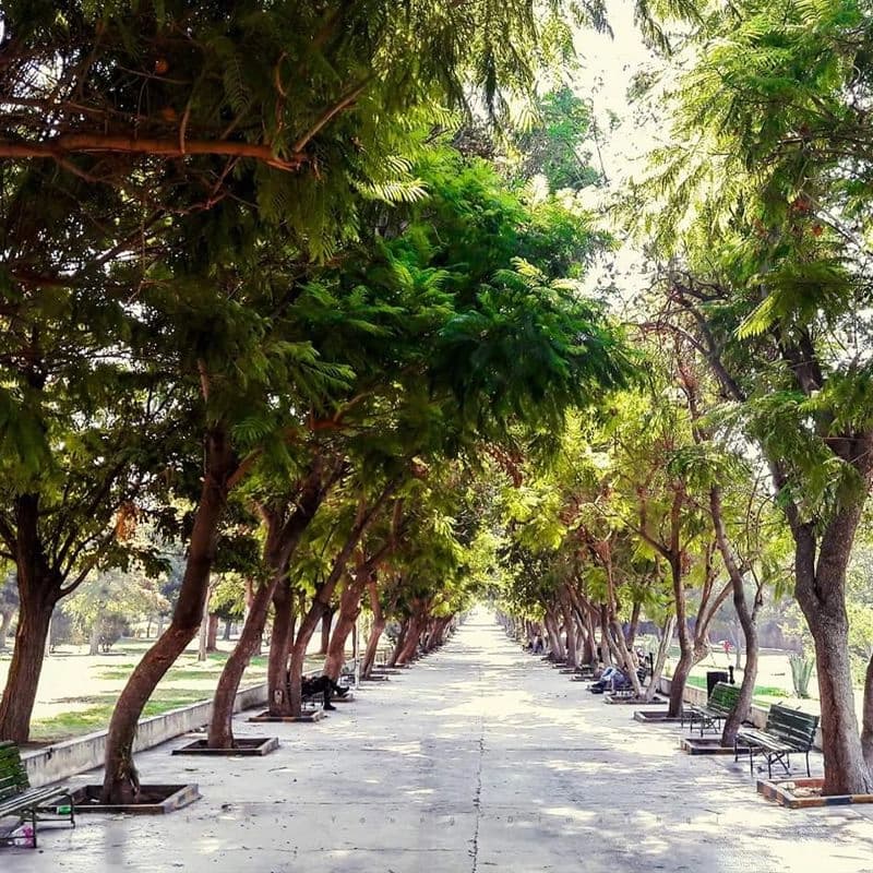 حديقة تشرين