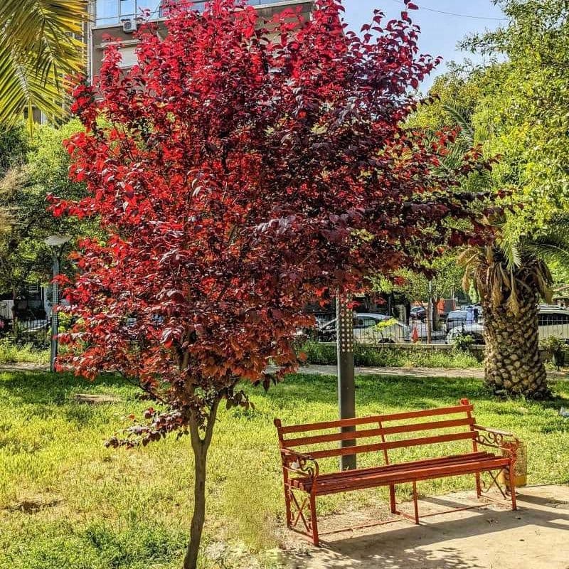 حديقة الجاحظ