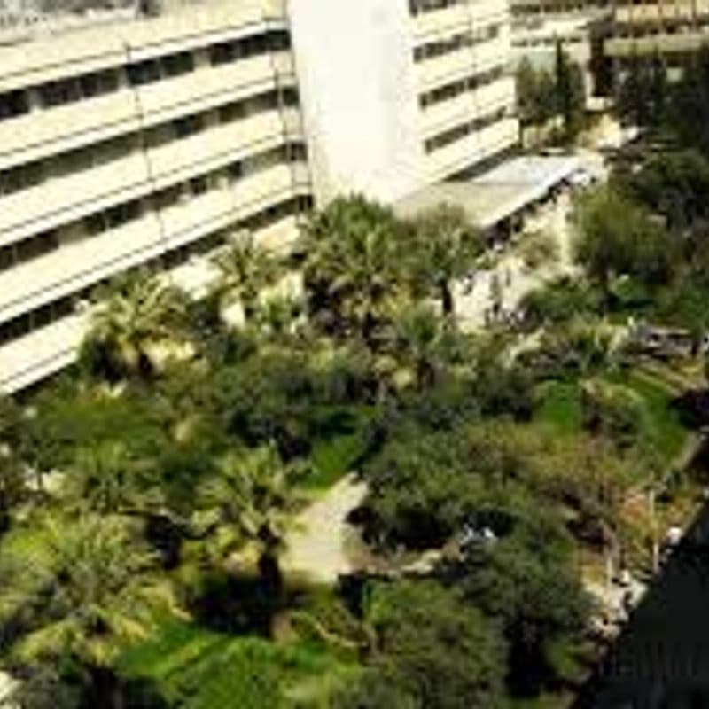 حديقة كلية الطب