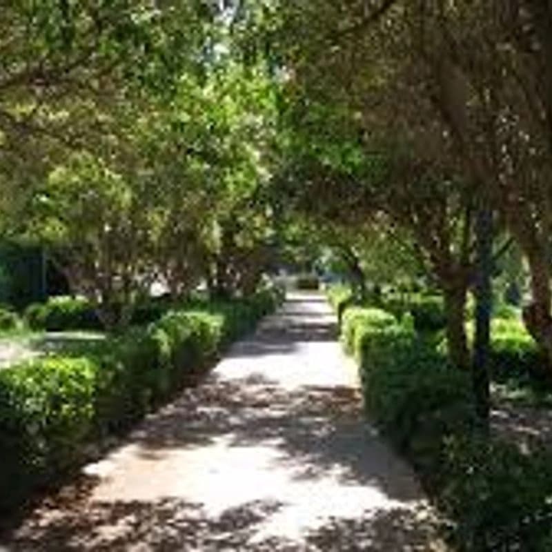 دوار وزارة الكهرباء ١٧ نيسان