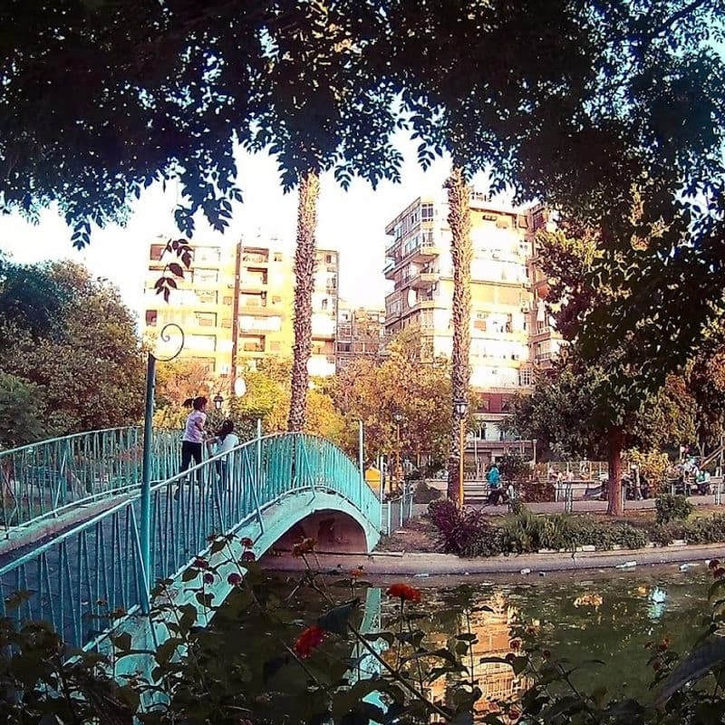 حديقة المرور