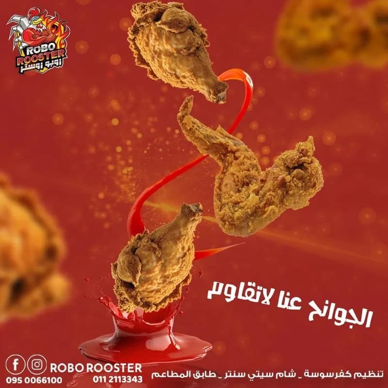 روبو روستر