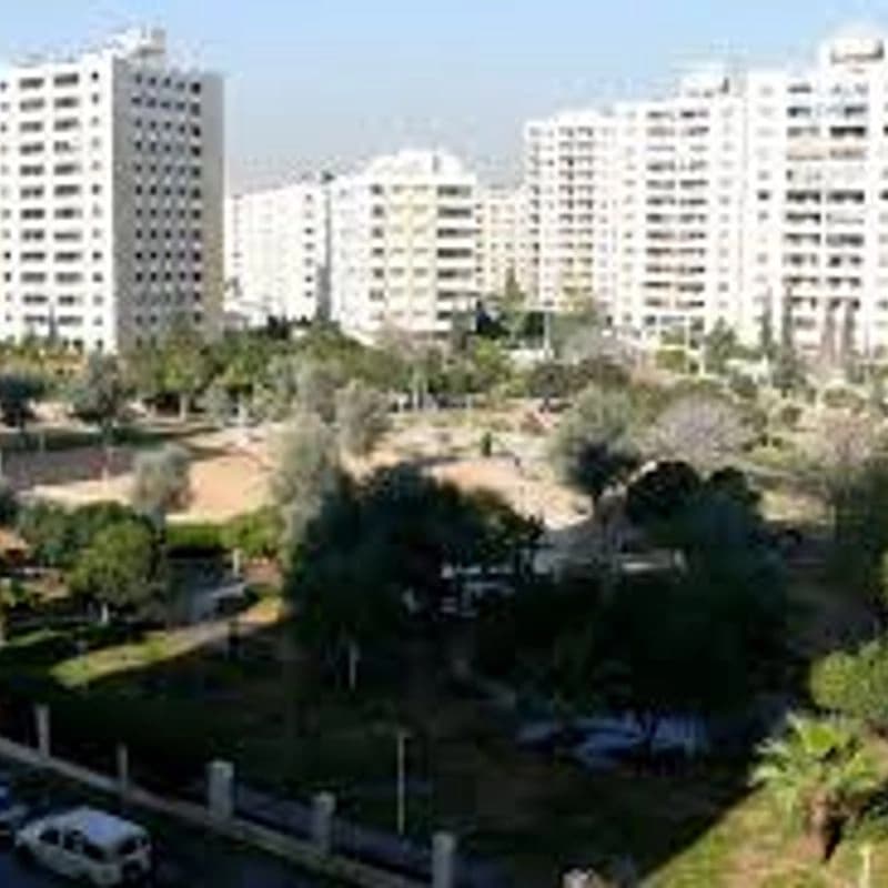 Organization Park