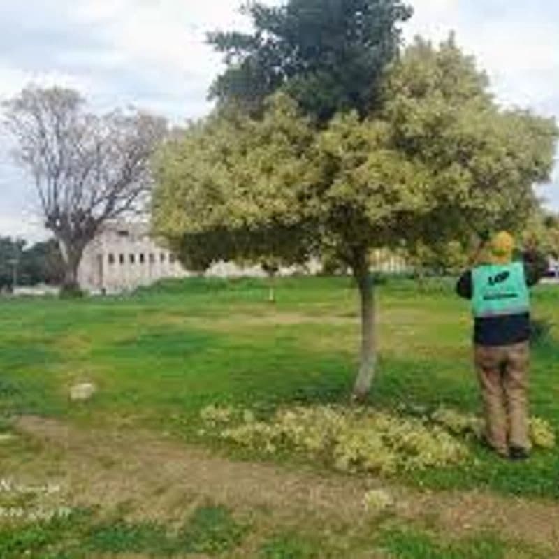 Al-Bunyan Park