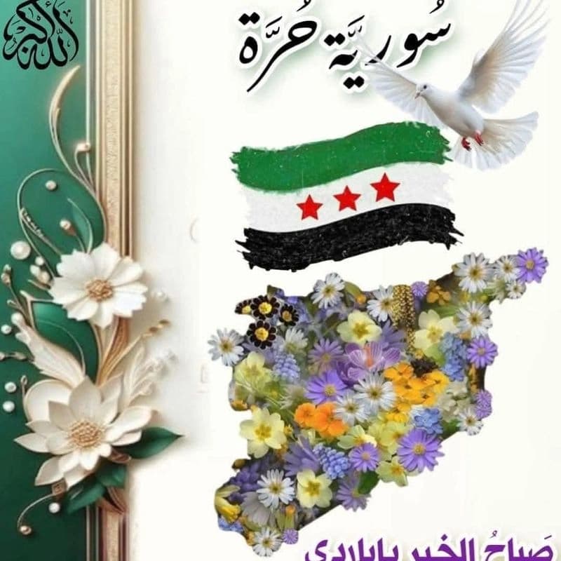 شركة اللوتس للتجارة