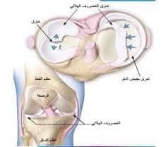 On-Call Orthopedic Clinic