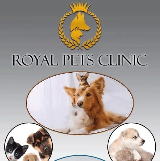 Royal Pets Clinic