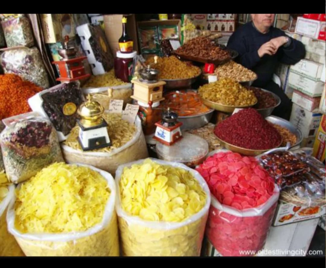 بزورية الحفار