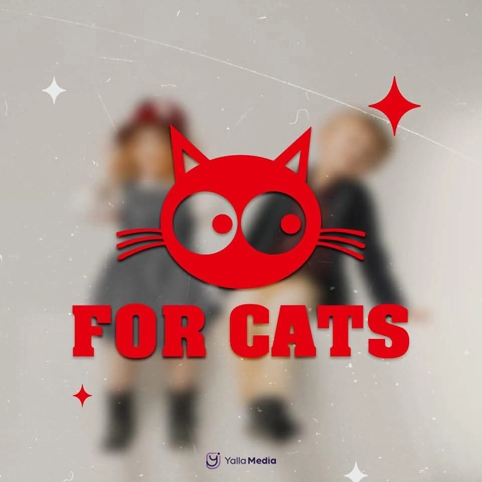 For Cats