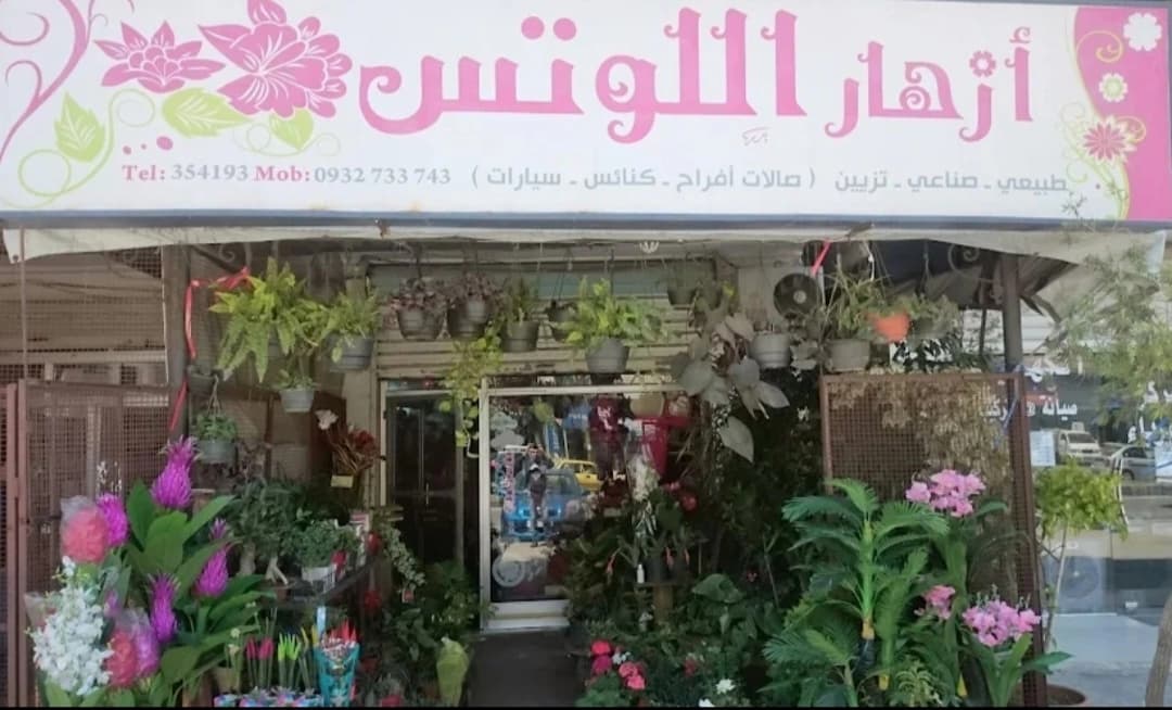 أزهار اللوتس