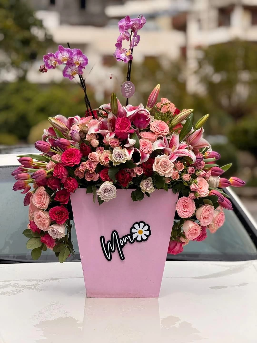 زهور موسى