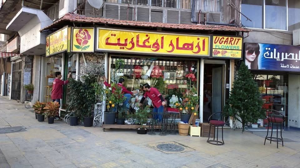 أزهار أوغاريت