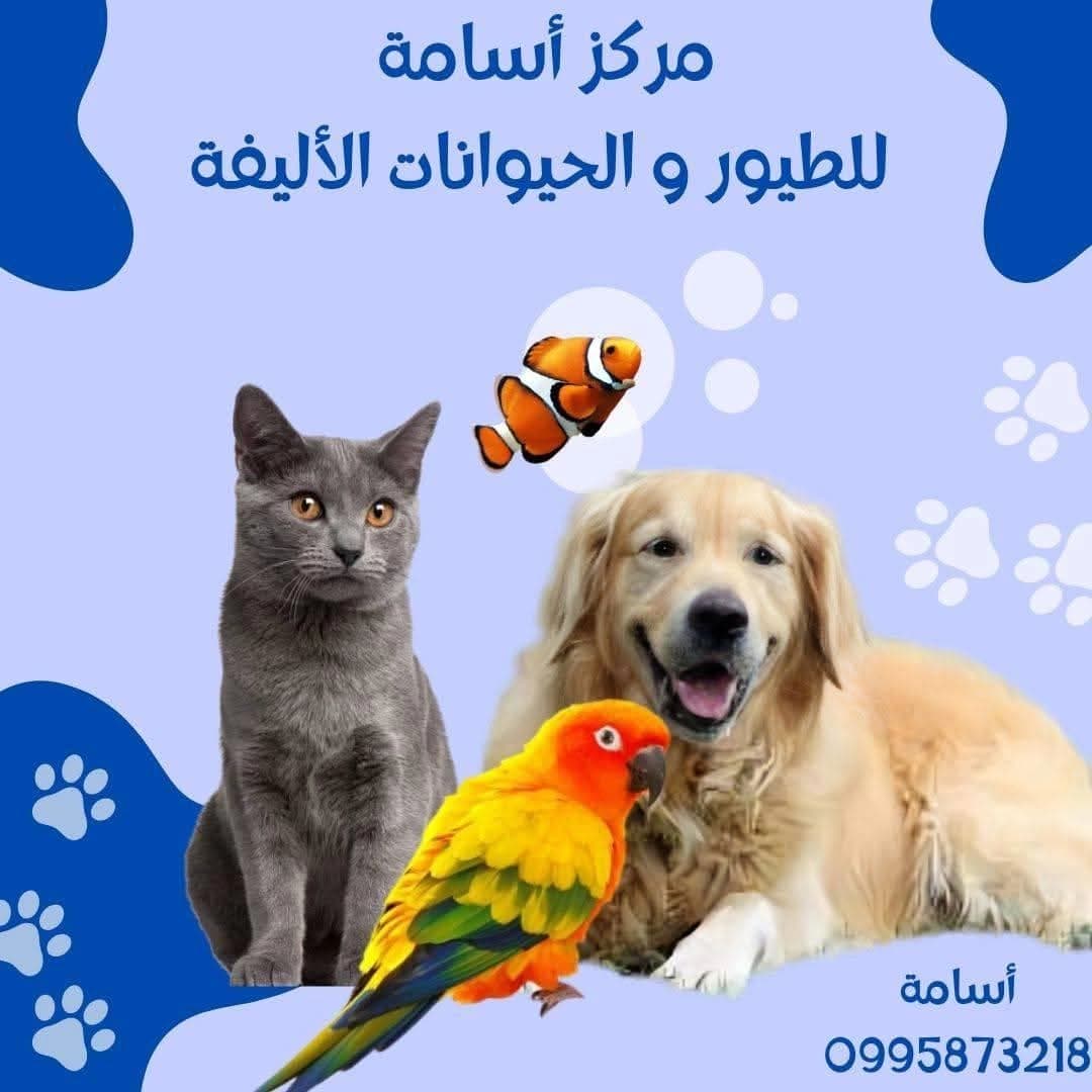 مركز أسامة للطيور