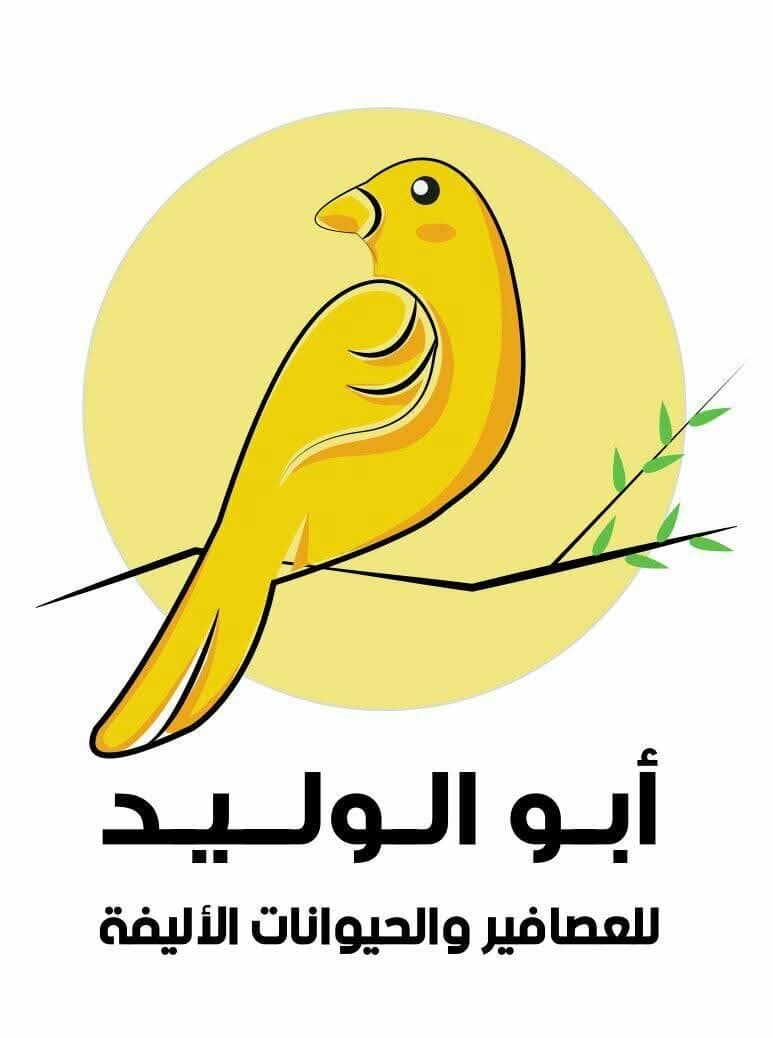أبو الوليد للعصافير والحيوانات الأليفة