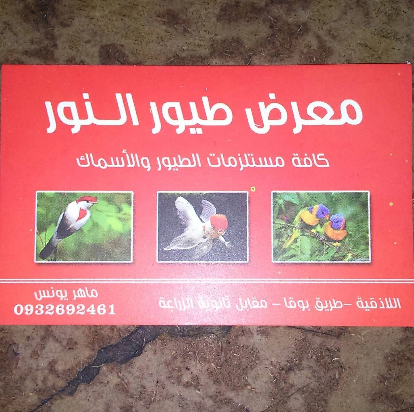 معرض طيور النور