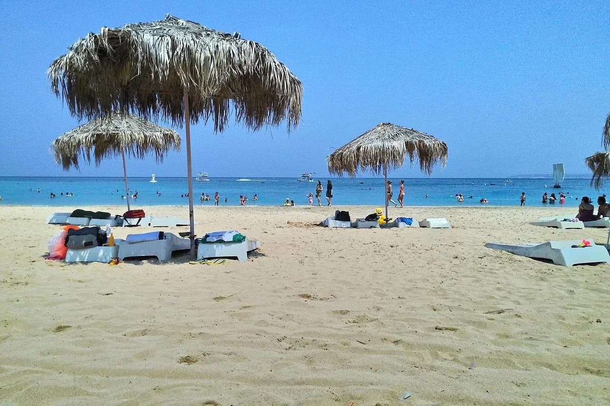 منتجع افاميا روتانا