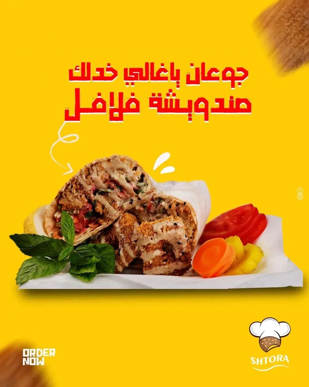 falafel shatura