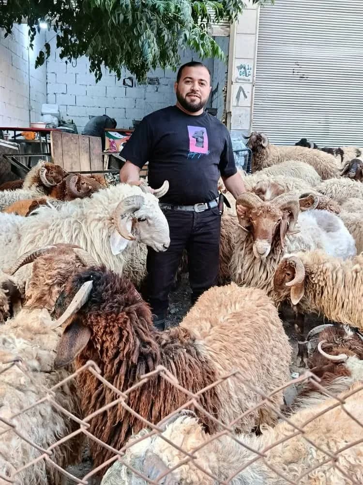 mateam wamalhamat alsaliba
