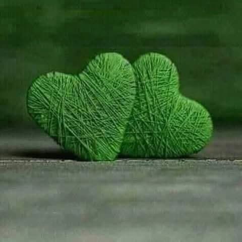 غرين كافيه
