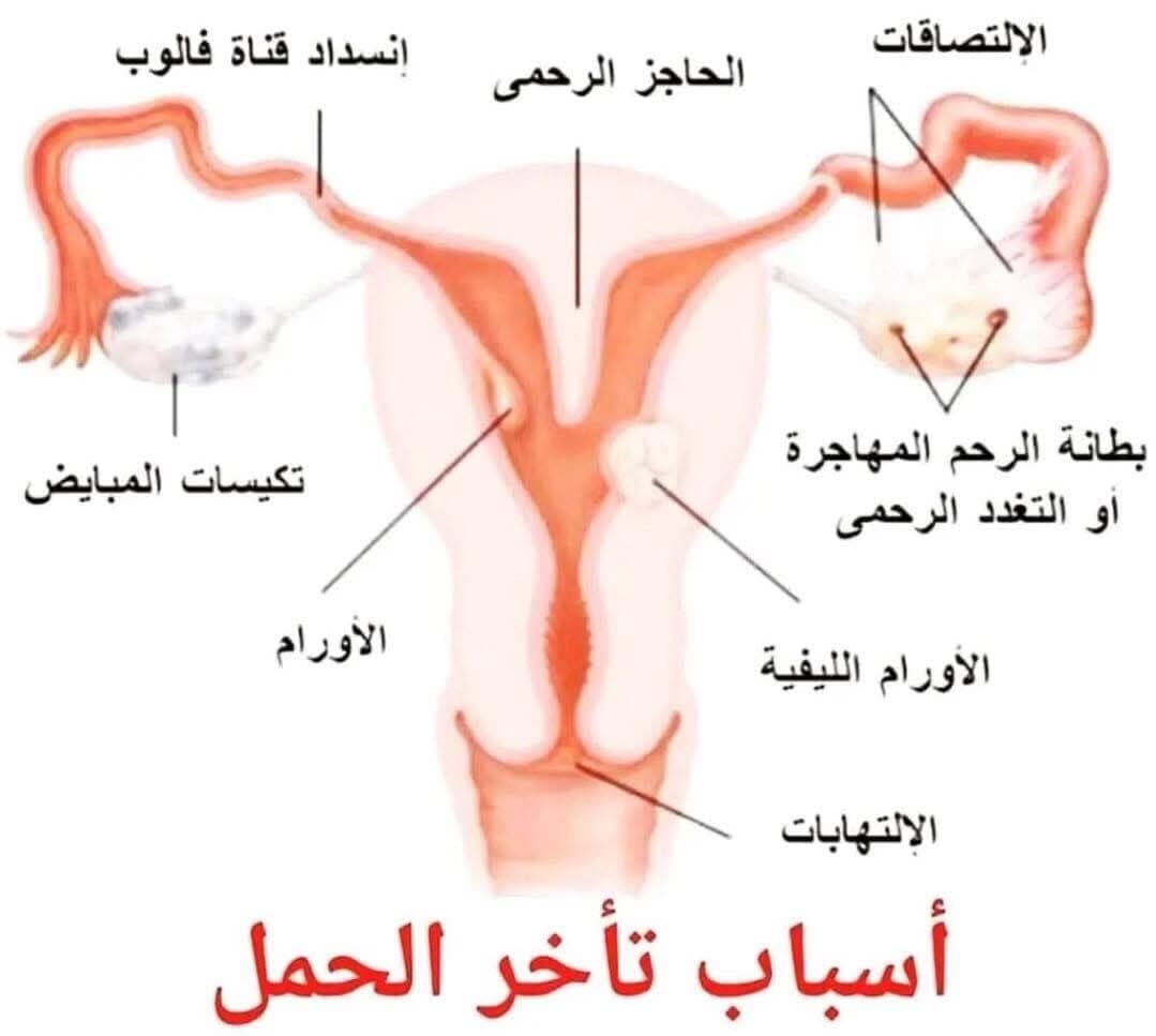 عيادة الدكتور علي انطكلي