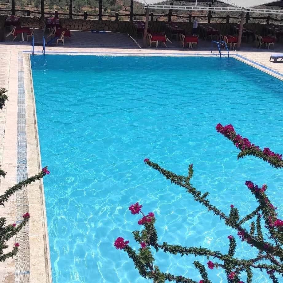 مطعم جنة الوادي