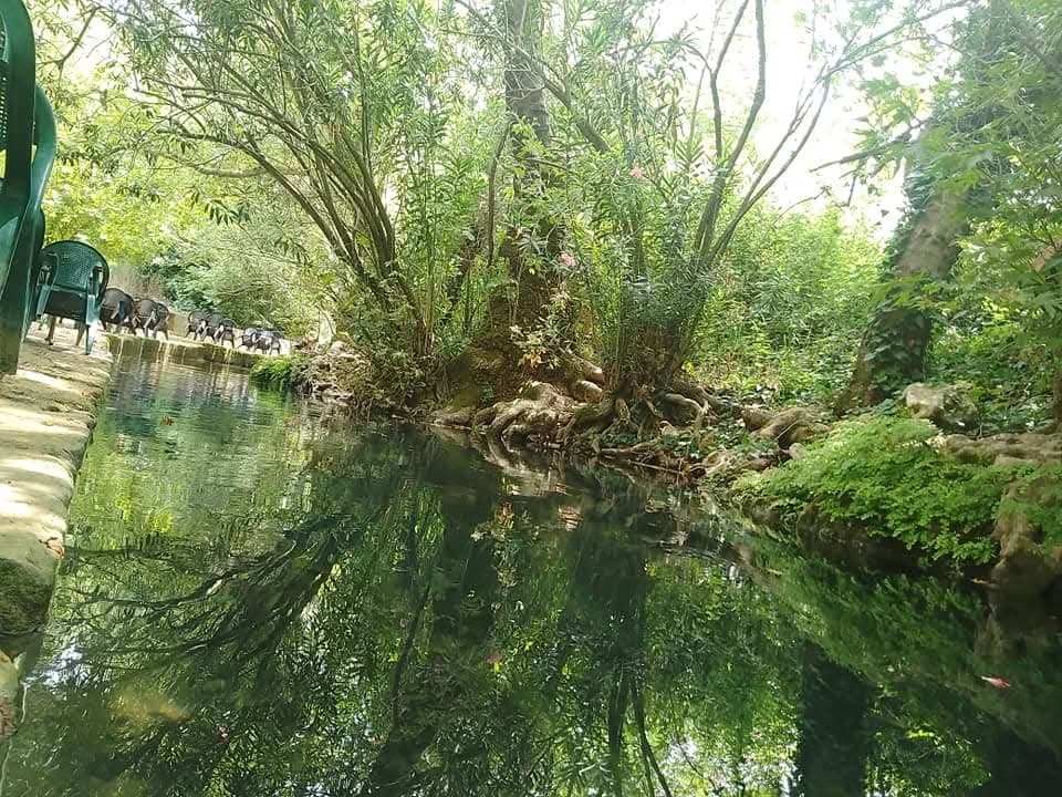 مطعم نبع العوجان العائلي