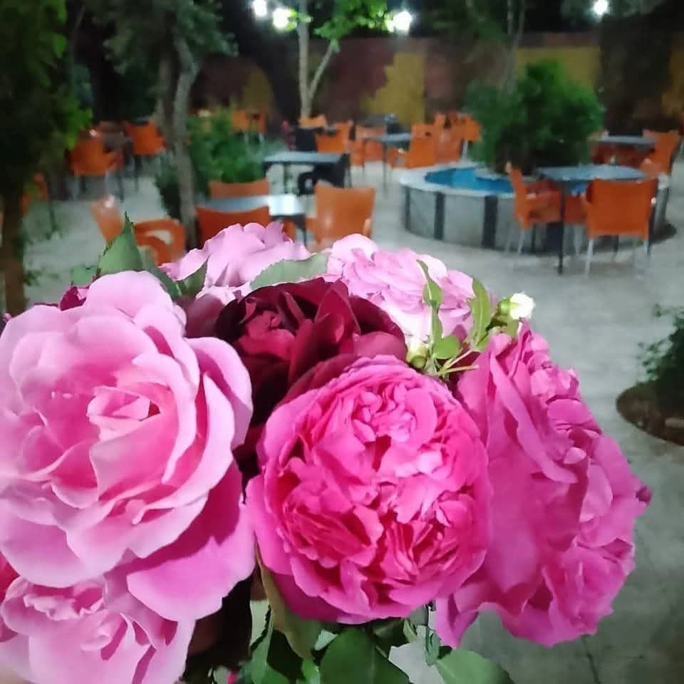 منتزه أبو ماجد حمودة