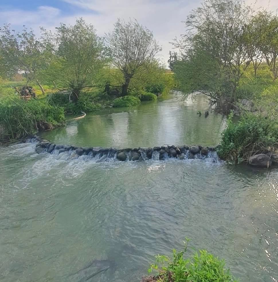 منتزه العاصي حمص تل الشور