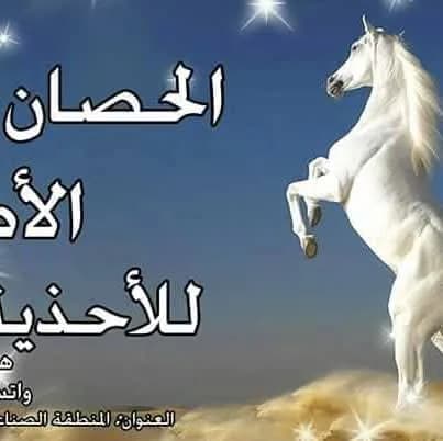 الحصان الأصيل للاحذية 