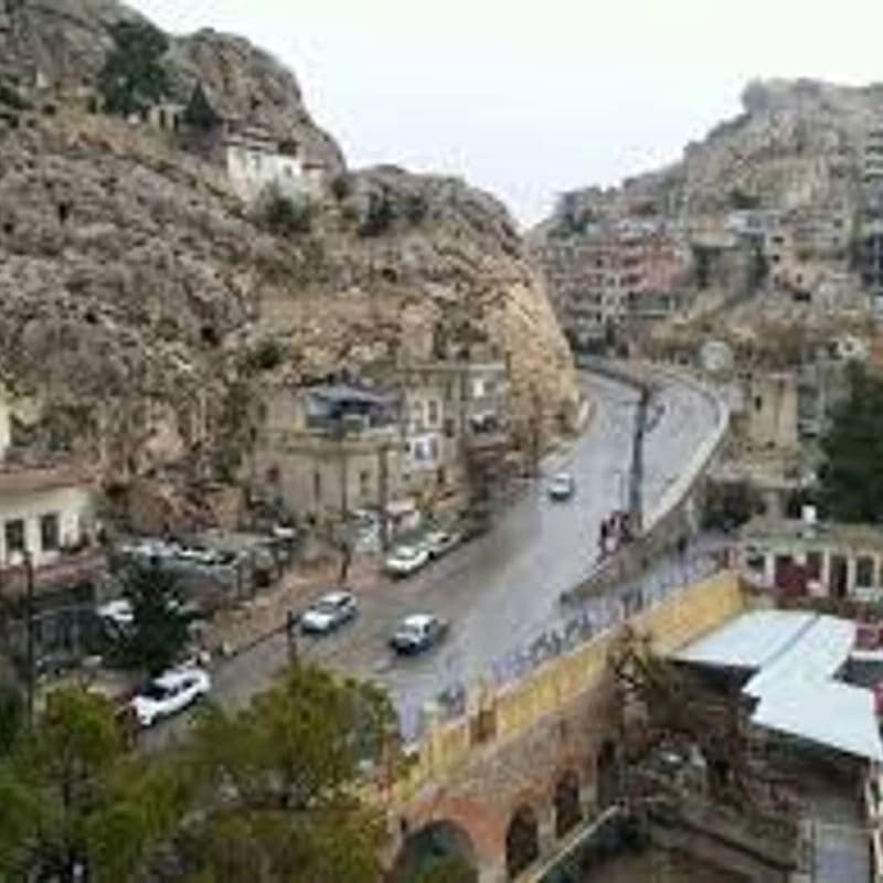 Mneen