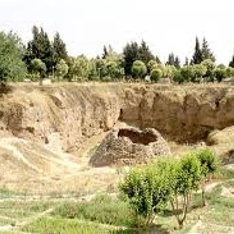 قلعة حماة